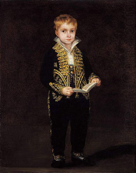 Francisco de Goya Portrait of Victor Guye china oil painting image